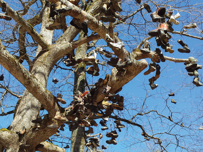 Tree of Lost Soles at Neel Gap, Day 3